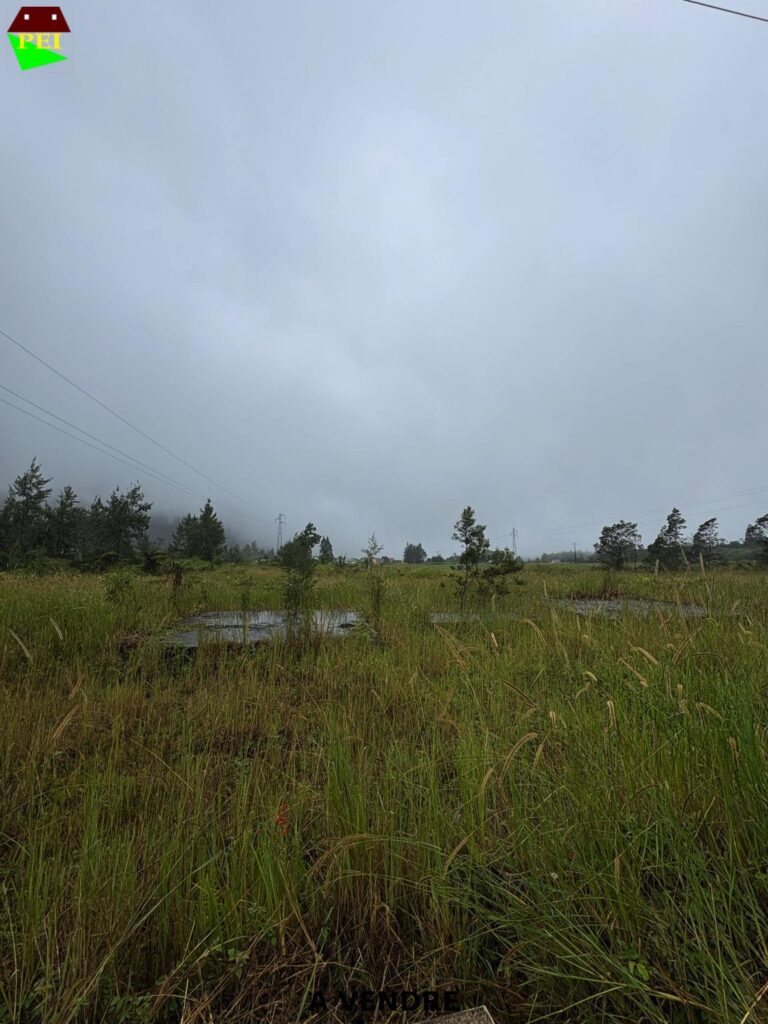 Terrain à La Plaine des Palmistes — PROMO EST IMMOBILIER