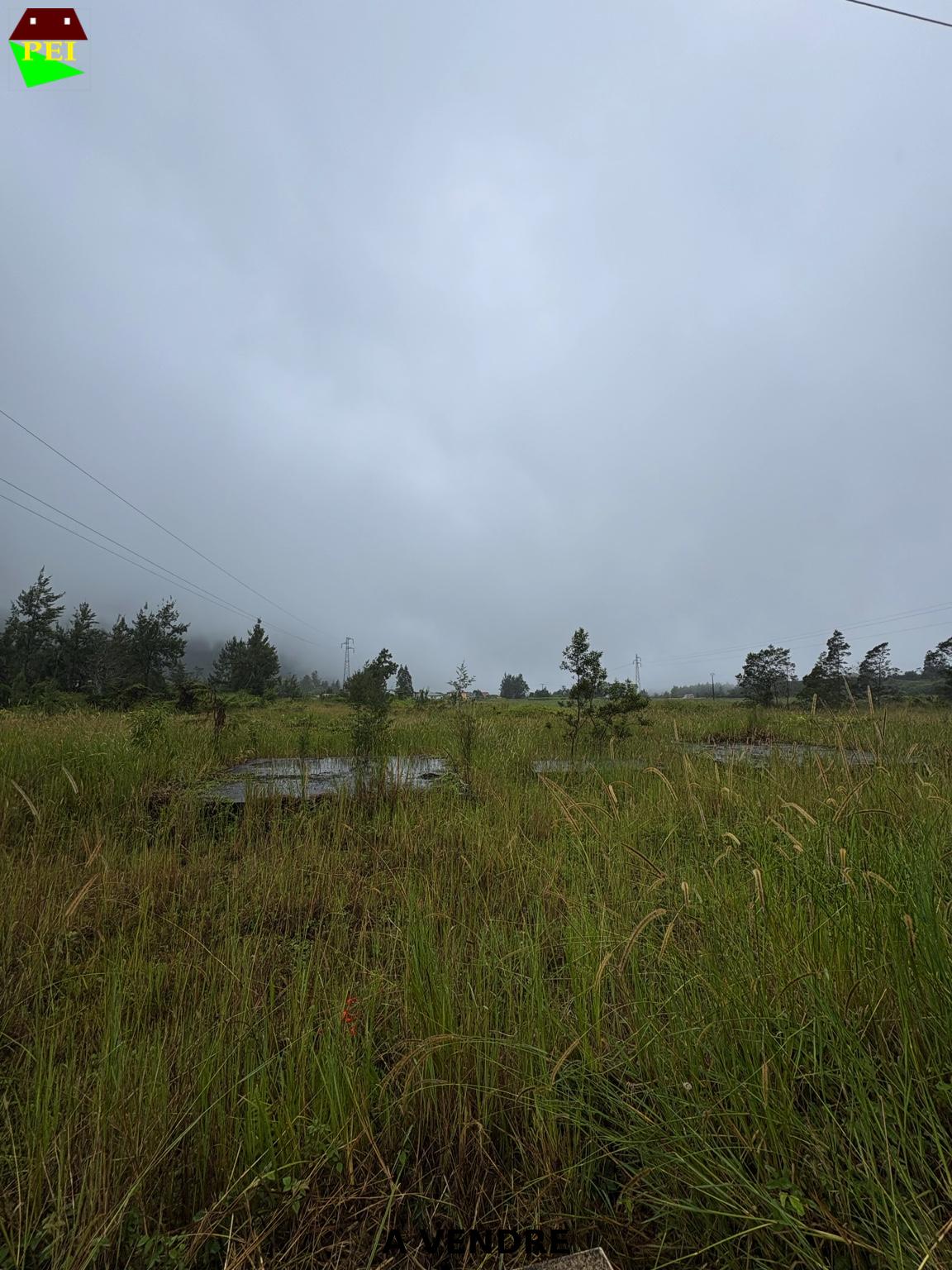 À VENDRE – Terrain plat de 2 878 m² à La Plaine des Palmistes